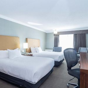 Standard Room 2 Double Beds Kitchenette
